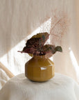 Vase No. 4