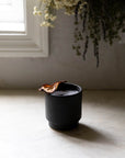 Tumbler Pre-Order