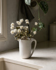Pitcher