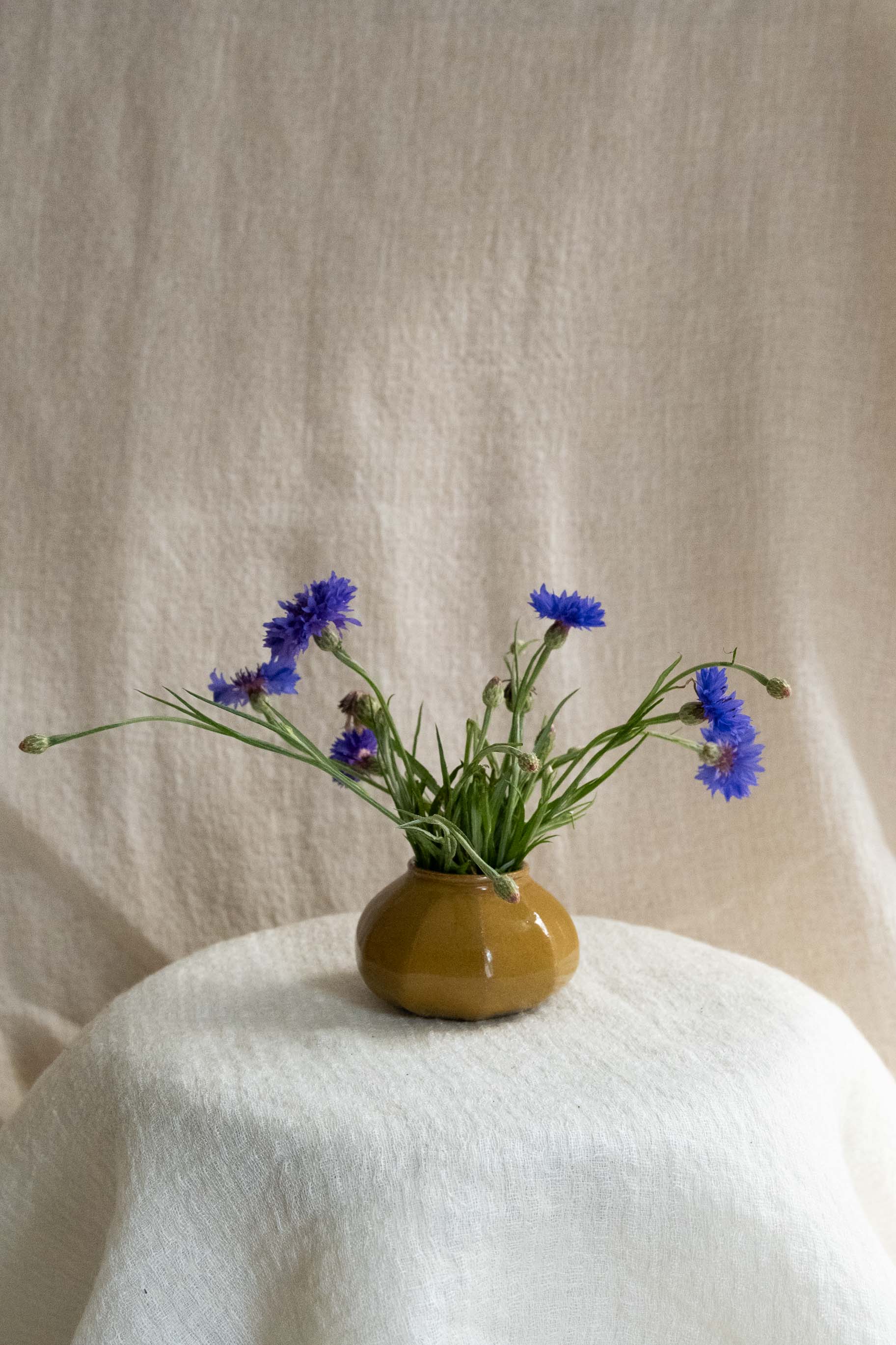 Vase No. 10