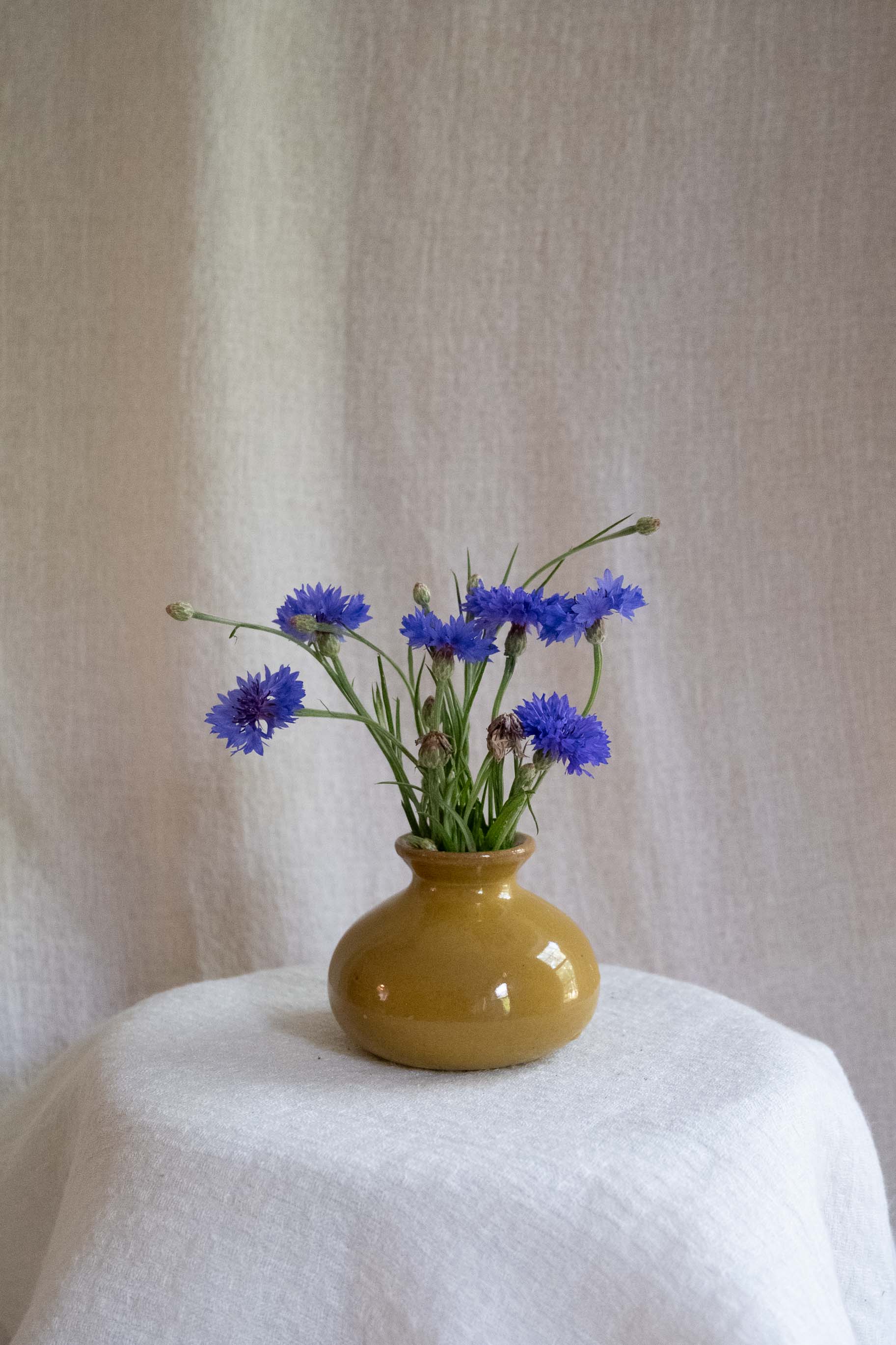 Vase No. 22