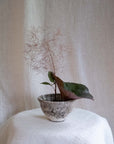 Vase No. 16