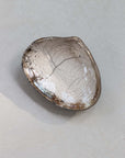 Raku Clam Shell