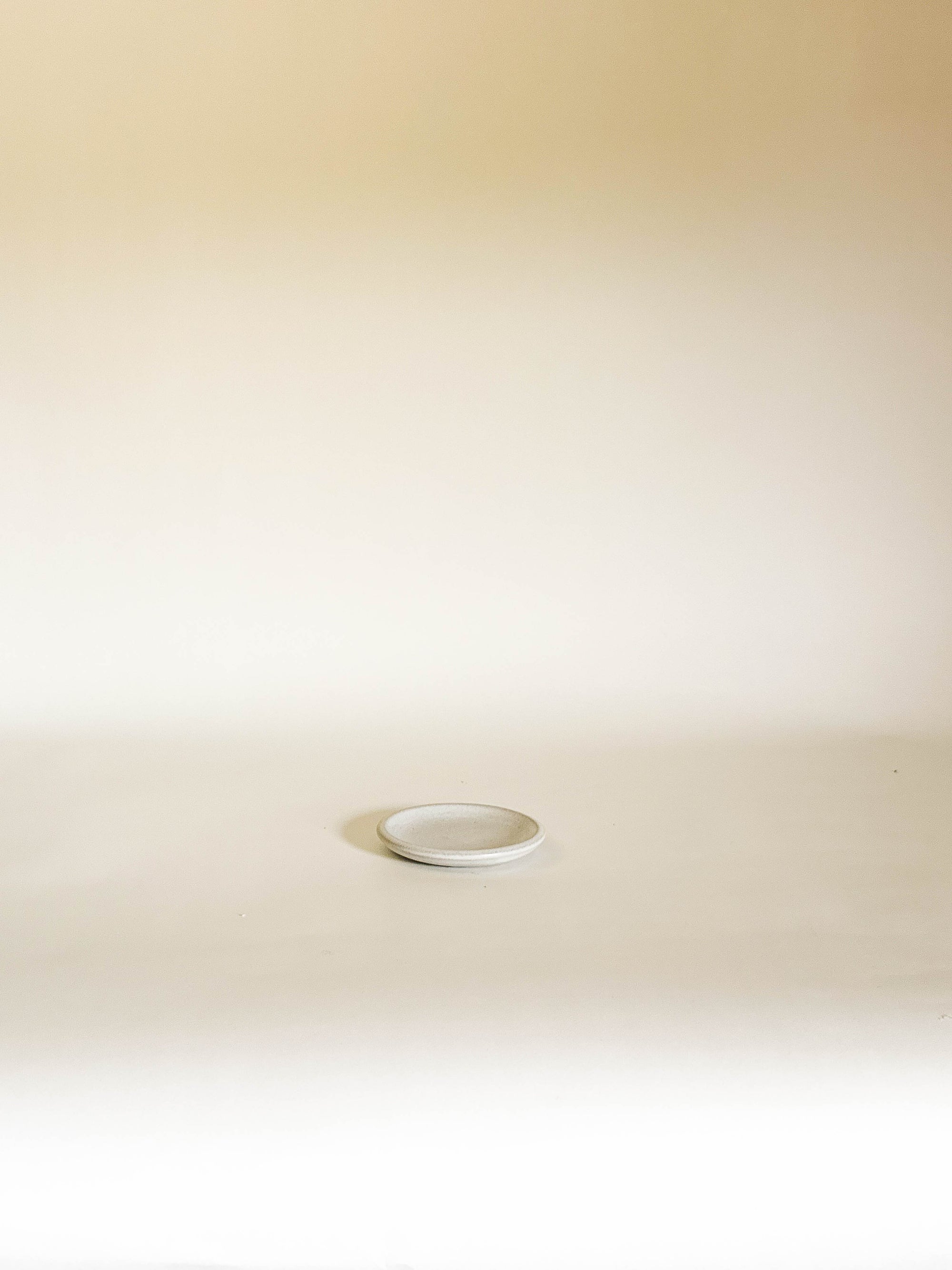 Lunaria Ring Dish - Seconds